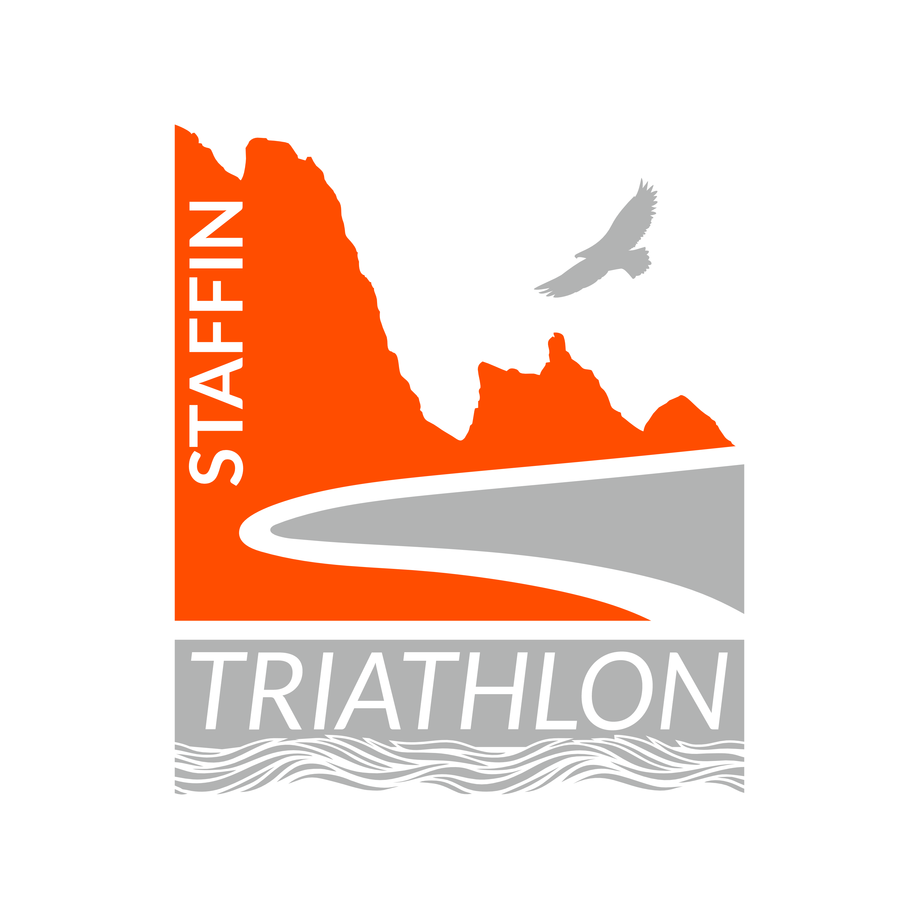 TRIATHLON Logo Waves 3